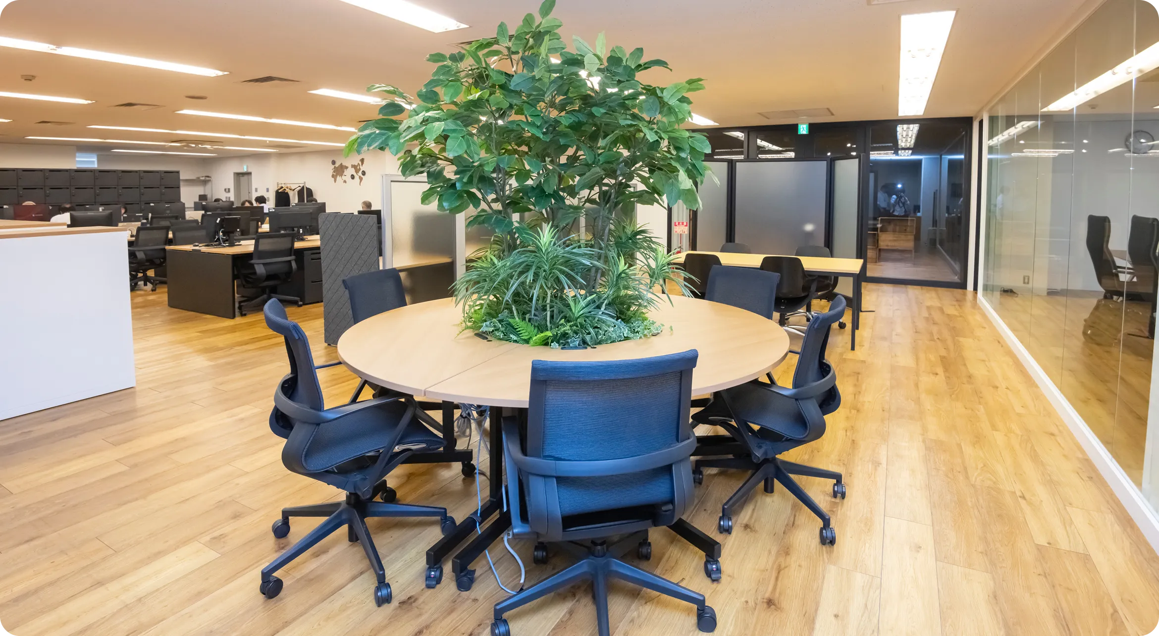 明るく開放的な社内オフィスの風景